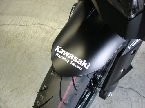 Ninja250ウインターテストエディション Z125PRO KRT 限定車が